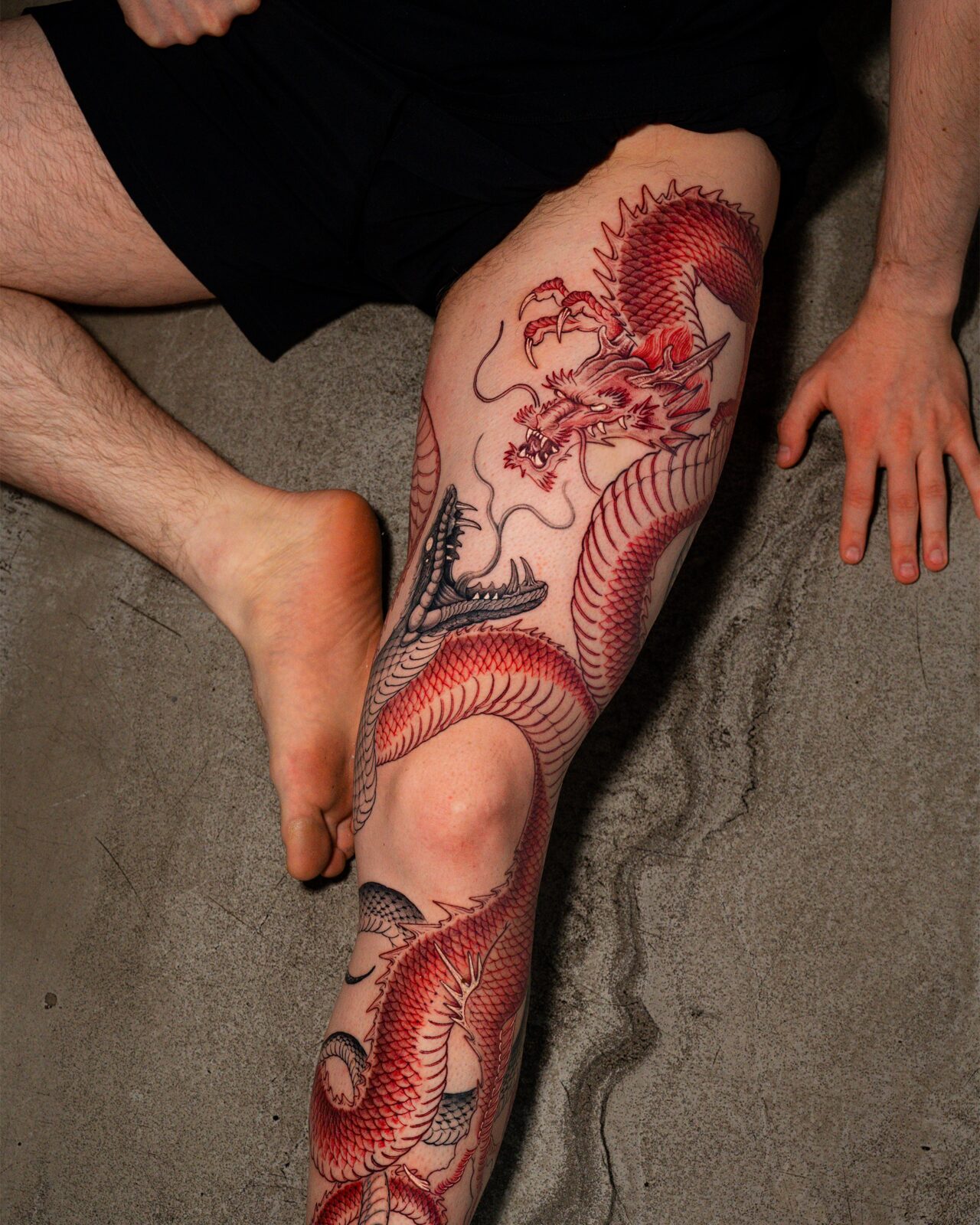 Red Dragon Leg