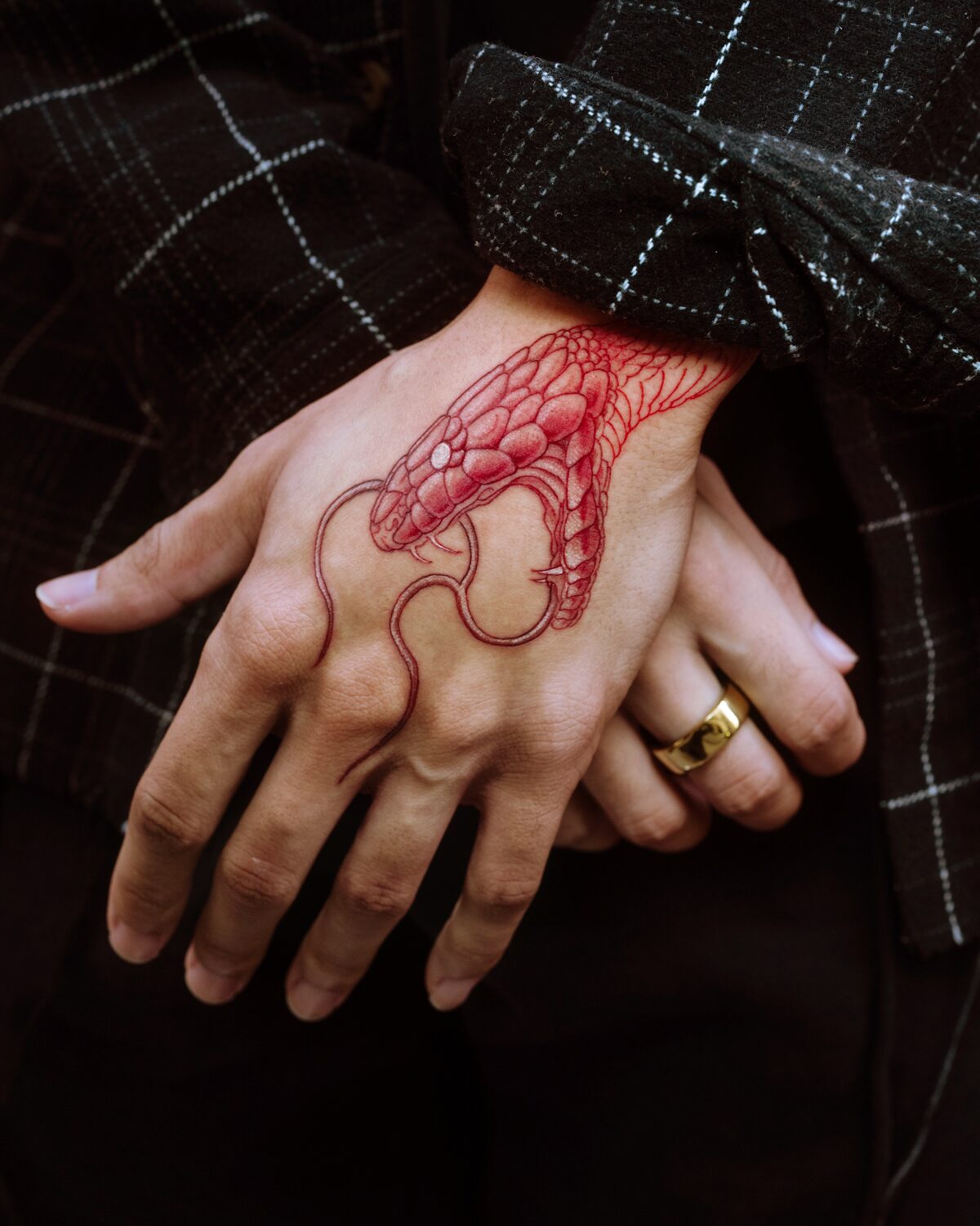 Red snake — hand